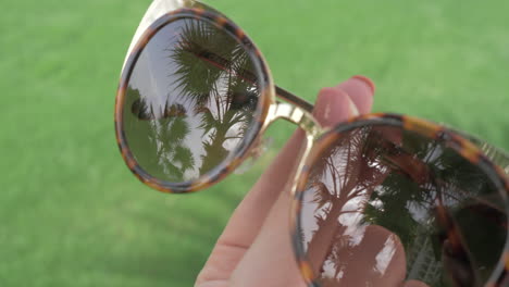 Un-Primer-Plano-De-Gafas-De-Sol-Femeninas-Que-Reflejan-Palmeras