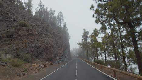 Camino-Pintoresco-En-Las-Montañas-Con-Bosques-De-Coníferas