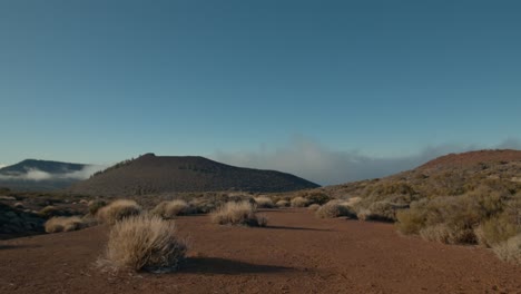 Naturaleza-De-Las-Tierras-Altas-Y-Sol-Brillante-Escena-De-Tenerife