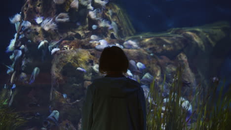 Boy-admiring-the-aquarium-in-the-oceanarium