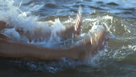Splashing-feet-in-the-sea