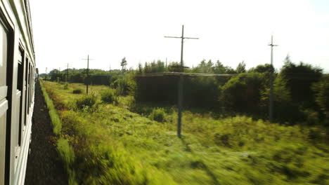 Moving-train-and-passing-landscape