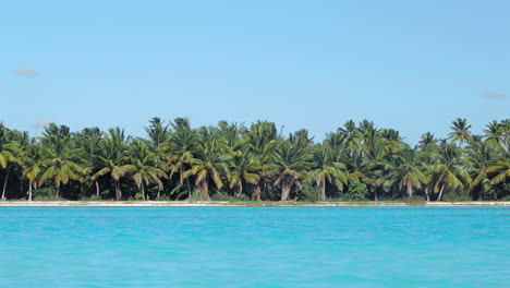 Escena-Tropical-Con-Palmeras-Y-Mar-Azul