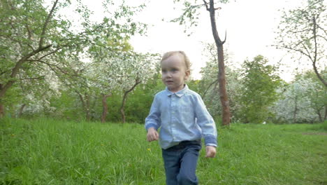 Niño-Caminando-Entre-Los-árboles