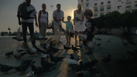 Family-and-flock-of-pigeons-in-the-street-at-sunset