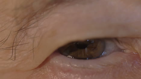 Braunes-Auge-Einer-älteren-Frau