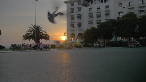 Pigeons-flying-away-in-the-city-at-sunset
