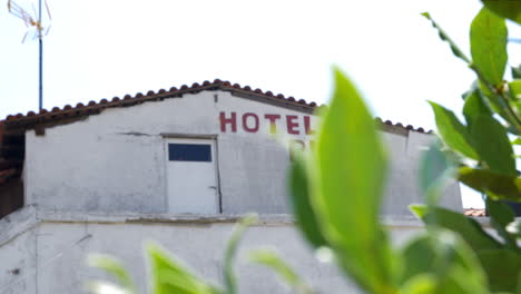 Dachboden-Des-Hotels-Und-Grüner-Baum-Im-Vordergrund