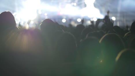 Standing-People-Watching-the-Musical-Band-Show