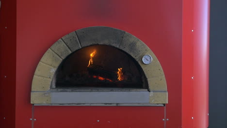 Brennholz-Im-Pizzaofen-Verbrennen