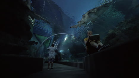 Frau-Mit-Pad-Macht-Fotos-Im-Unterwassertunnel-Des-Ozeanariums