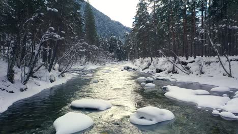 Schöner-Schneeszenenwald-Im-Winter.-Überfliegen-Von-Fluss--Und-Kiefernbäumen,-Die-Mit-Schnee-Bedeckt-Sind.
