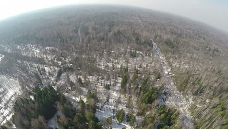 Aerial-panorama-of-winter-mixed-forest