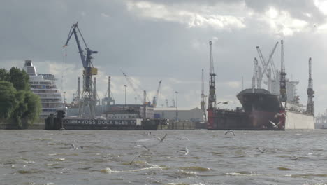 Hamburg-port-Cargo-ship-gulls