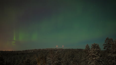 Zeitraffer-Der-Nordlichter-über-Dem-Wald