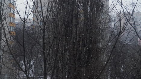 Winter-scene-with-falling-snow-and-bare-tree