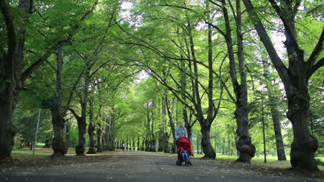 Woman-taking-her-child-for-a-walk-in-woodland
