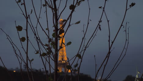 Kahler-Herbstbaum-Und-Eiffelturm-Bei-Nacht-Paris