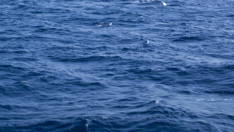 Blue-water-surface
