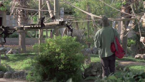 Besucher-Beobachten-Schwarze-Klammeraffen-Im-Zoo-Von-Lissabon,-Portugal