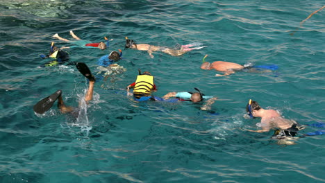 Menschen-Schwimmen-Im-Meer