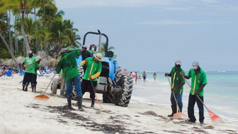 Trabajadores-Limpiando-La-Playa-De-Algas-Marinas