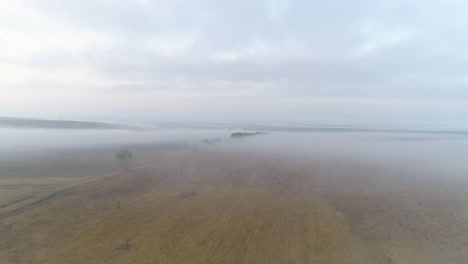 Flying-Over-Foggy-Fields