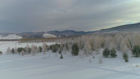 Paisaje-De-Montaña-De-Invierno