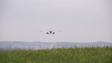 Passenger-plane-is-landing-flying-over-a-flower-field