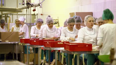 Vielbeschäftigte-Arbeiter-In-Der-Fabrik