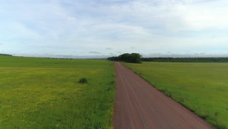 Majestic-Red-Road