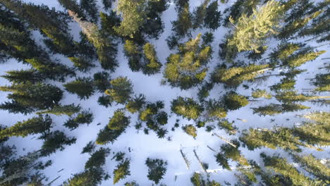 Vista-Aérea-Del-País-De-Las-Maravillas-Invernales