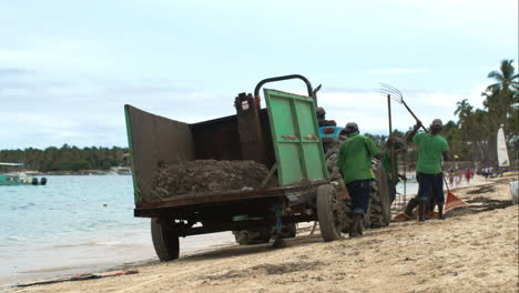 Varios-Trabajadores-Limpiando-La-Playa-De-Algas-Marinas.