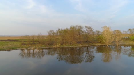 Reflection-Trees-in-the-Lake