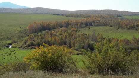 Herbstlandschaft