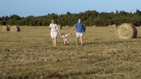 Family-walking-holding-hands-in-the-field