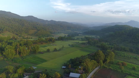 Niebla-Mística-En-El-Valle