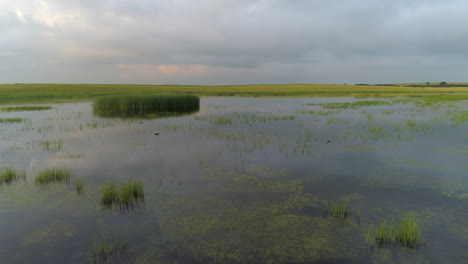 Puesta-De-Sol-Sobre-El-Lago-Con-Patos