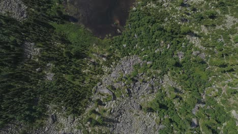 Aerial-View-of-Serene-Forest-Lake