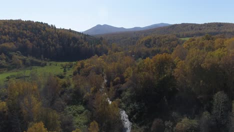 Autumn-Forest