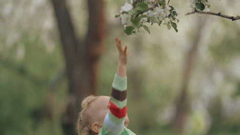 Little-child-taking-efforts-to-reach-the-tree-branch