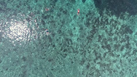 Snorkeling-at-Freedom-Beach