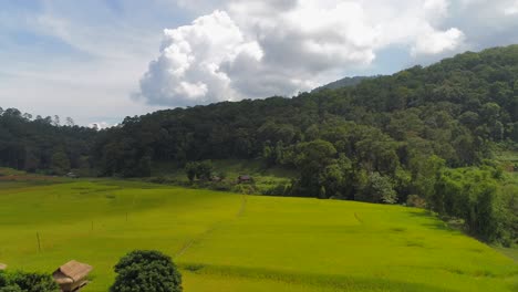 Paisaje-Del-Parque-De-Verano