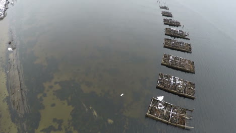 Flug-über-Brückenruinen-Im-Meer