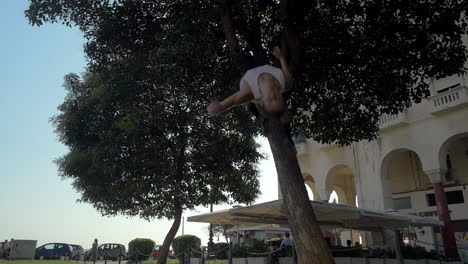 A-guy-pushing-off-from-the-tree-and-doing-somersault