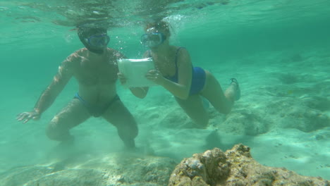Turistas-Buceando-Para-Tomar-Fotografías-De-Arrecifes-De-Coral.