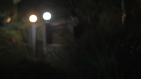 House-gates-with-lanterns-at-night
