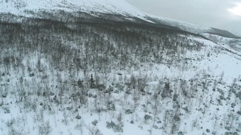 Aerial-shot-of-a-hillside-with-bare-trees-in-winter
