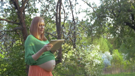 Mujer-Embarazada-Dando-Un-Paseo-Con-Almohadilla-En-El-Parque