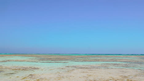 Escena-De-La-Naturaleza-Con-Orilla-Del-Mar-Y-Cielo-Azul-Claro